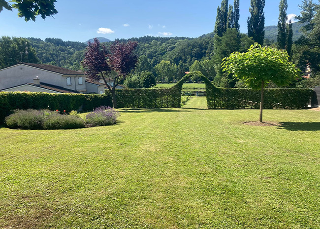 Jardin arboré et pelouse entretenue, avec haies et massifs